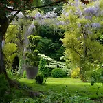L'echappee Belle Cauvigny