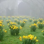 فندق مبيت وإفطار L'echappee Belle Cauvigny