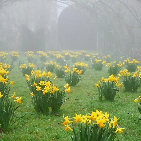 Couette-café L'echappée Belle Cauvigny