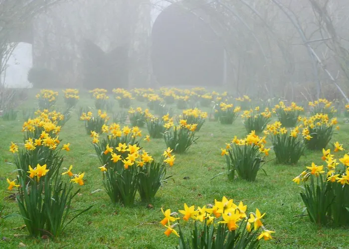 Bed & Breakfast L'echappee Belle Cauvigny