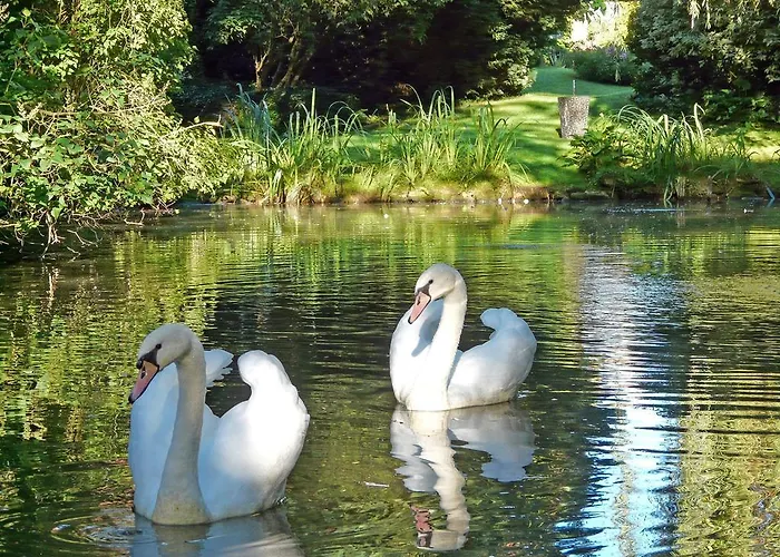 L'echappée Belle Cauvigny